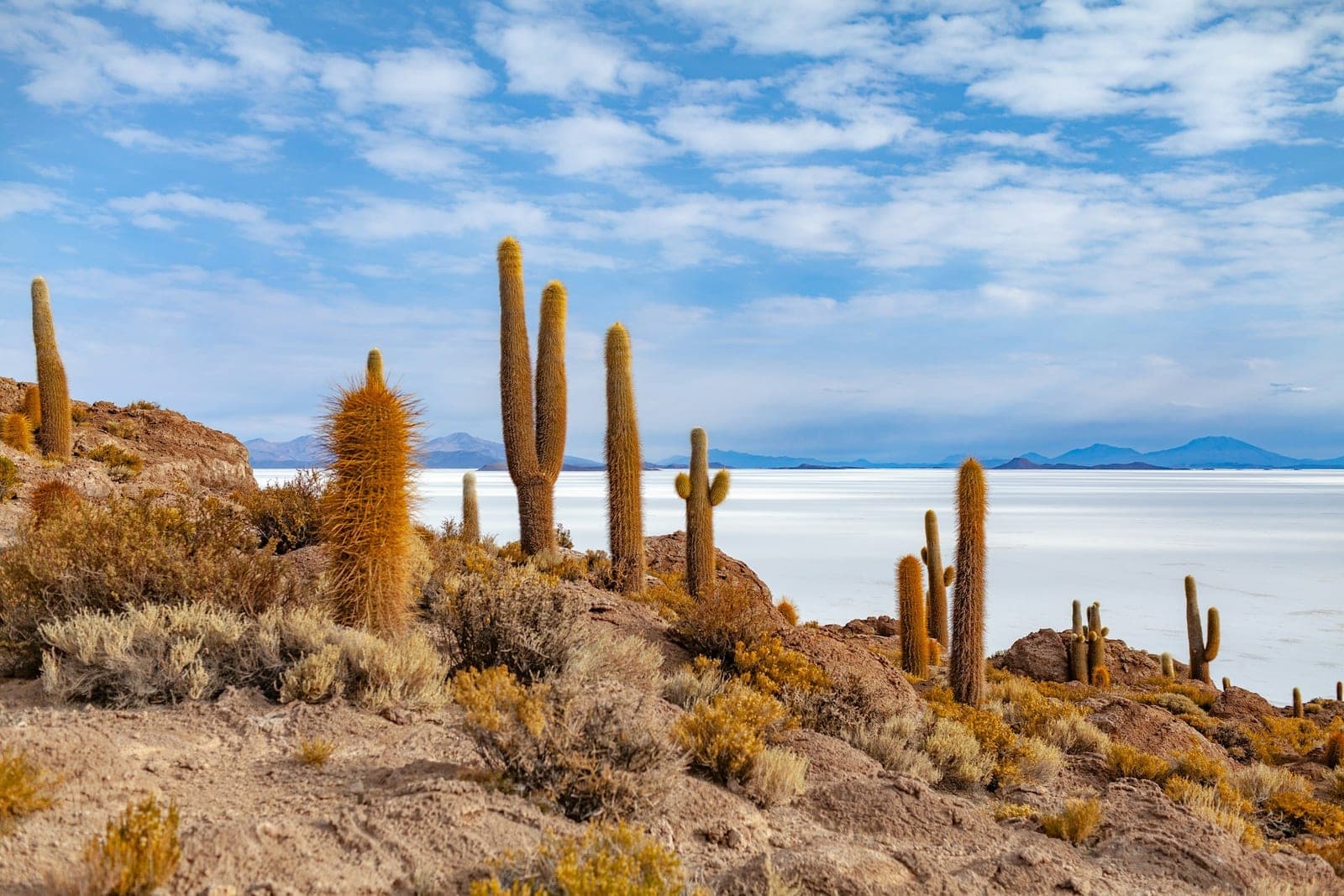 3 semaines d'aventures entre Altiplano et Amazonie