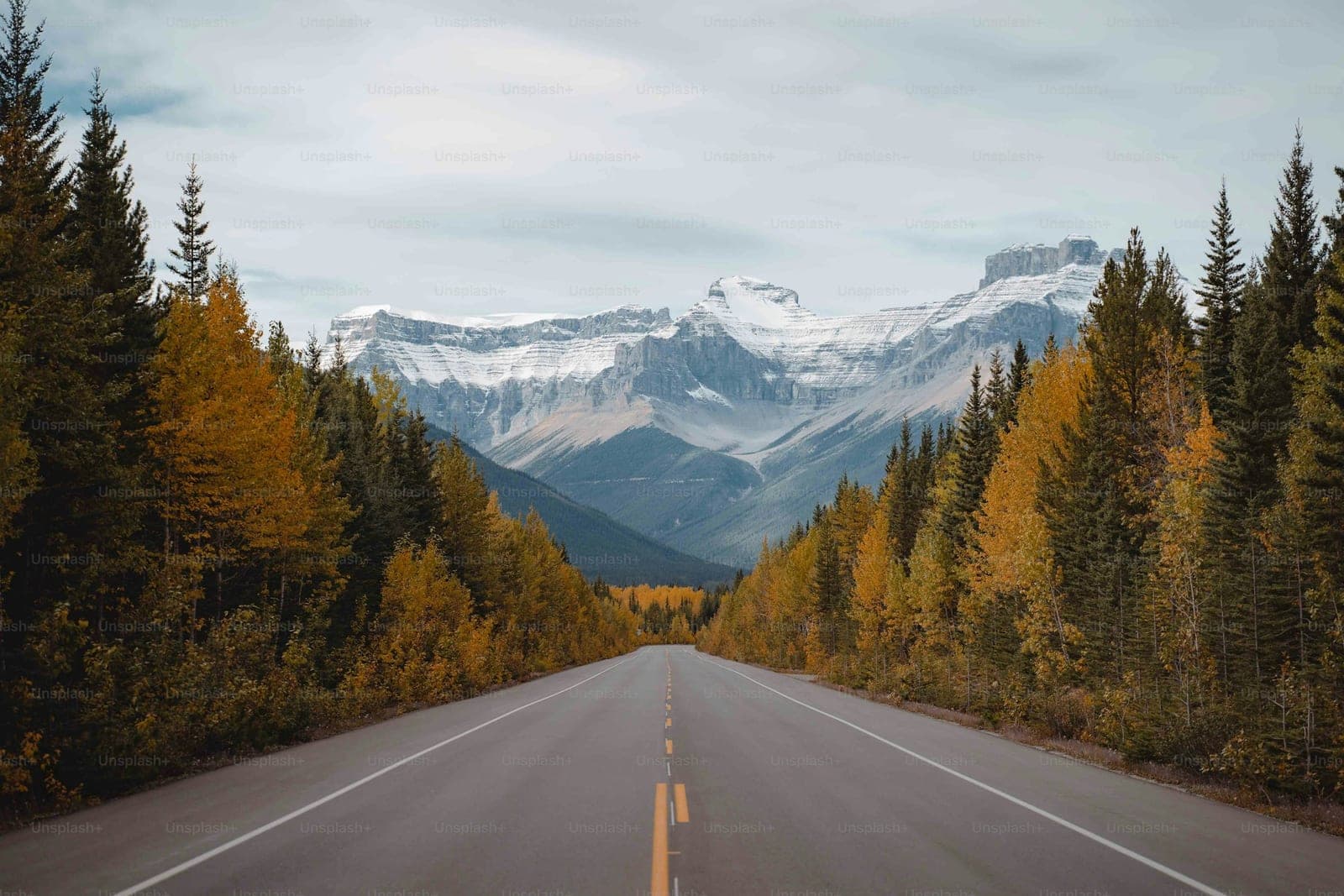 Road trip Québec et Ontario en 14 jours