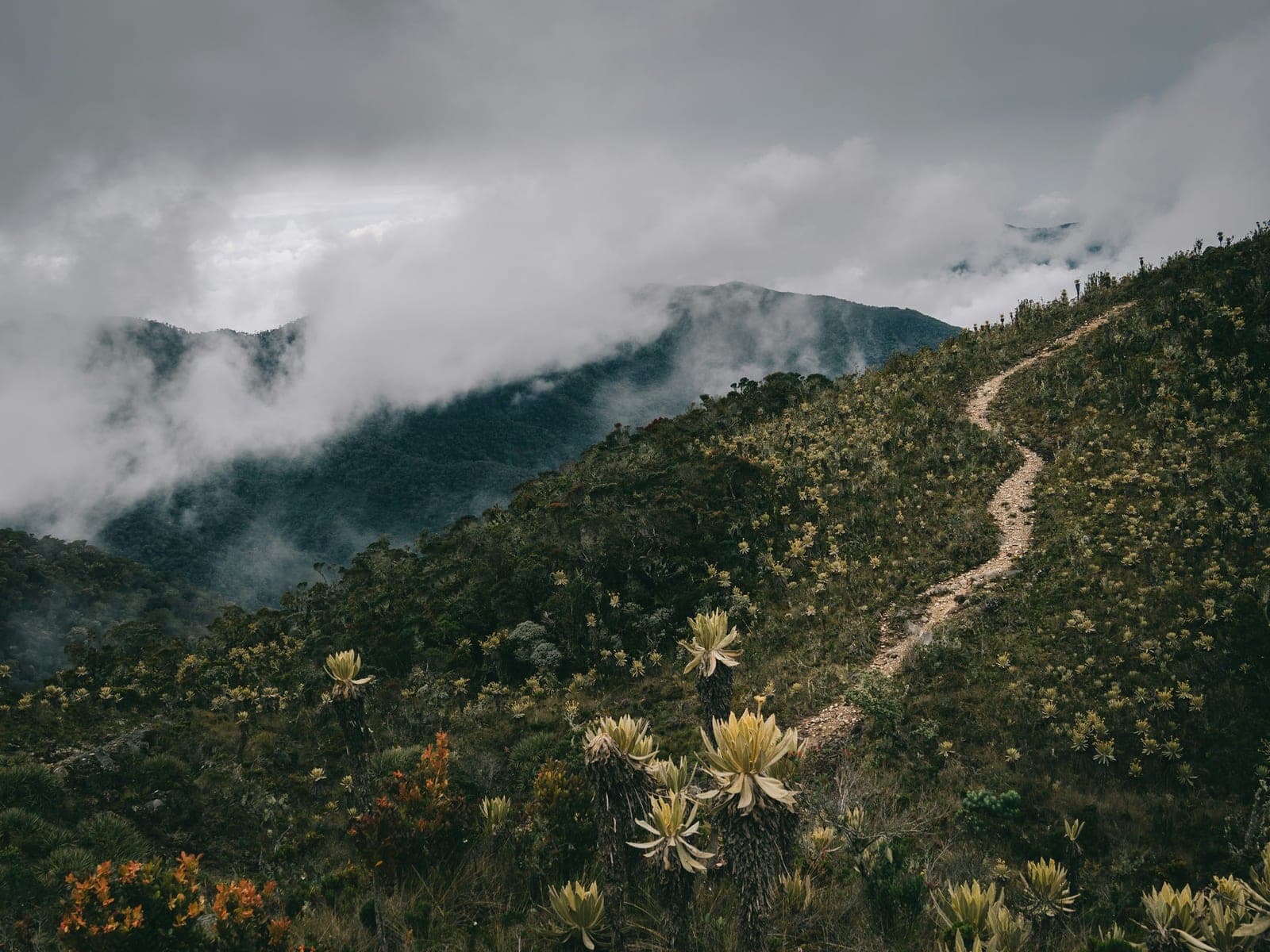 10 jours en road trip de Bogotá à Santa Marta