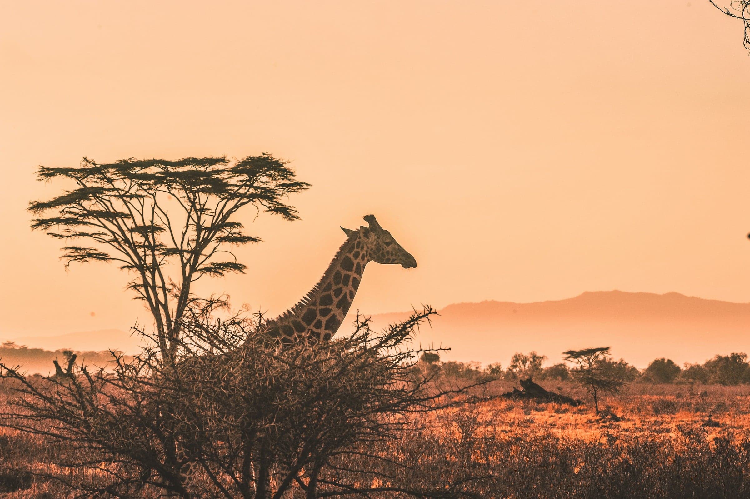 Voyage en Tanzanie