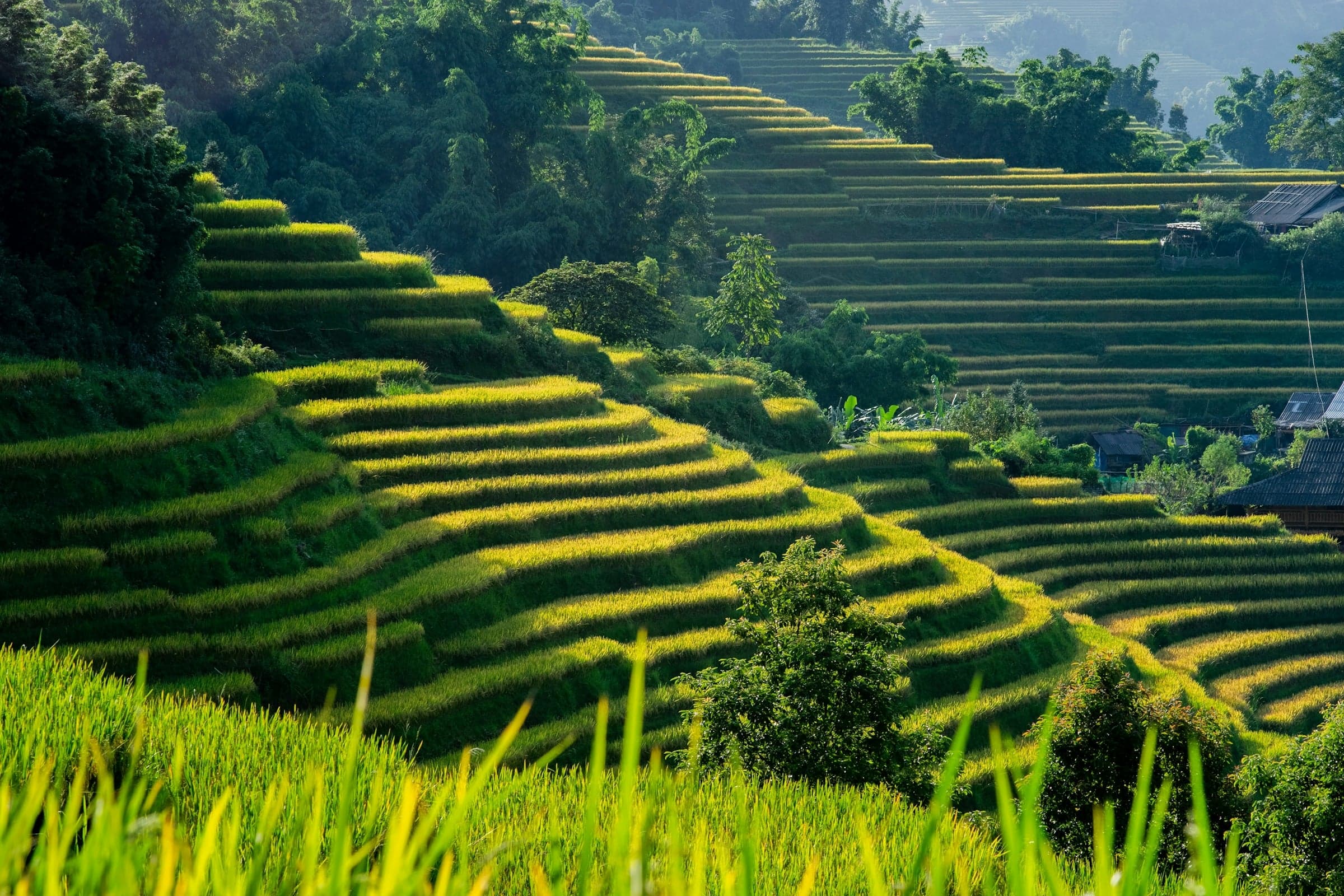 Voyage au Vietnam