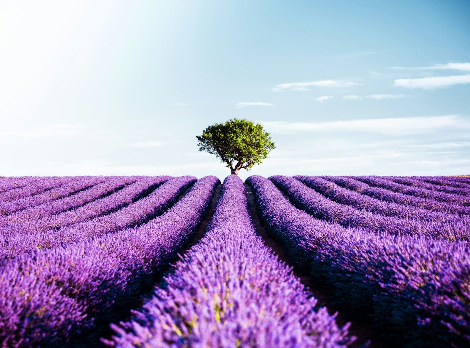 10 jours entre Paris, Provence et Côte d'Azur