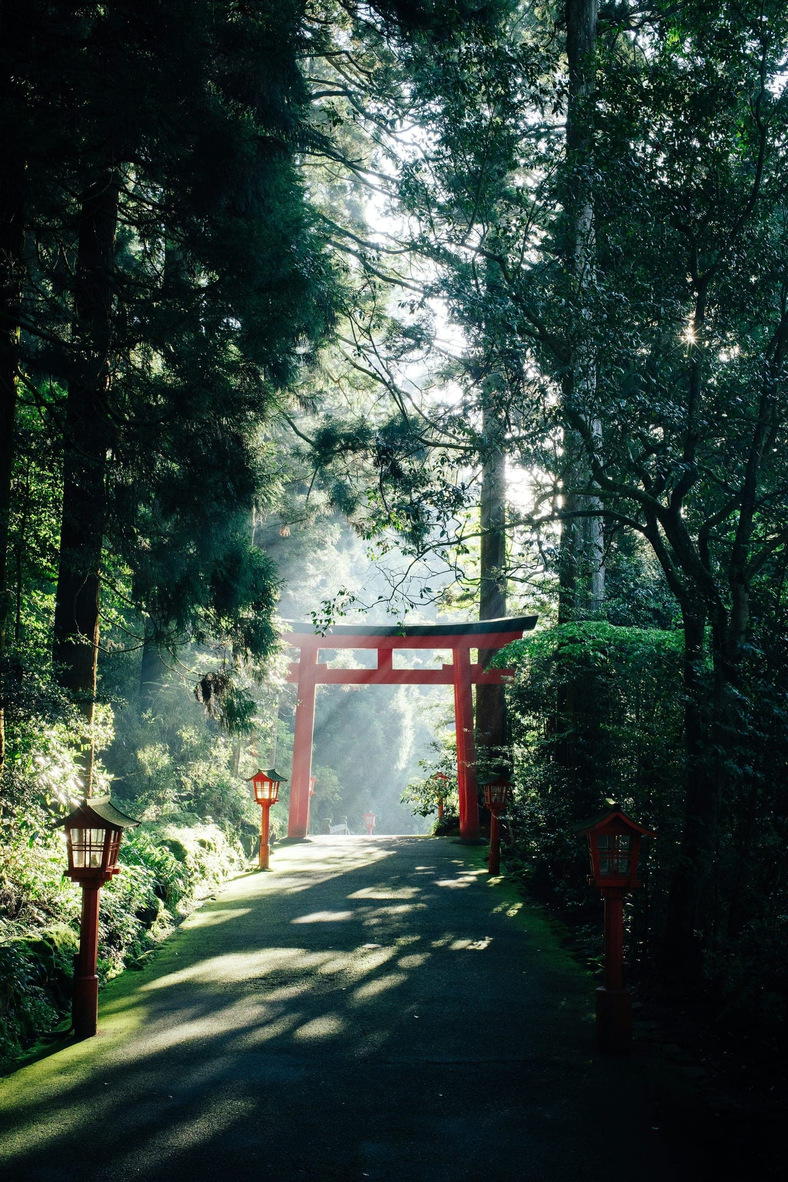 1 mois de Kyushu à Tokyo au printemps
