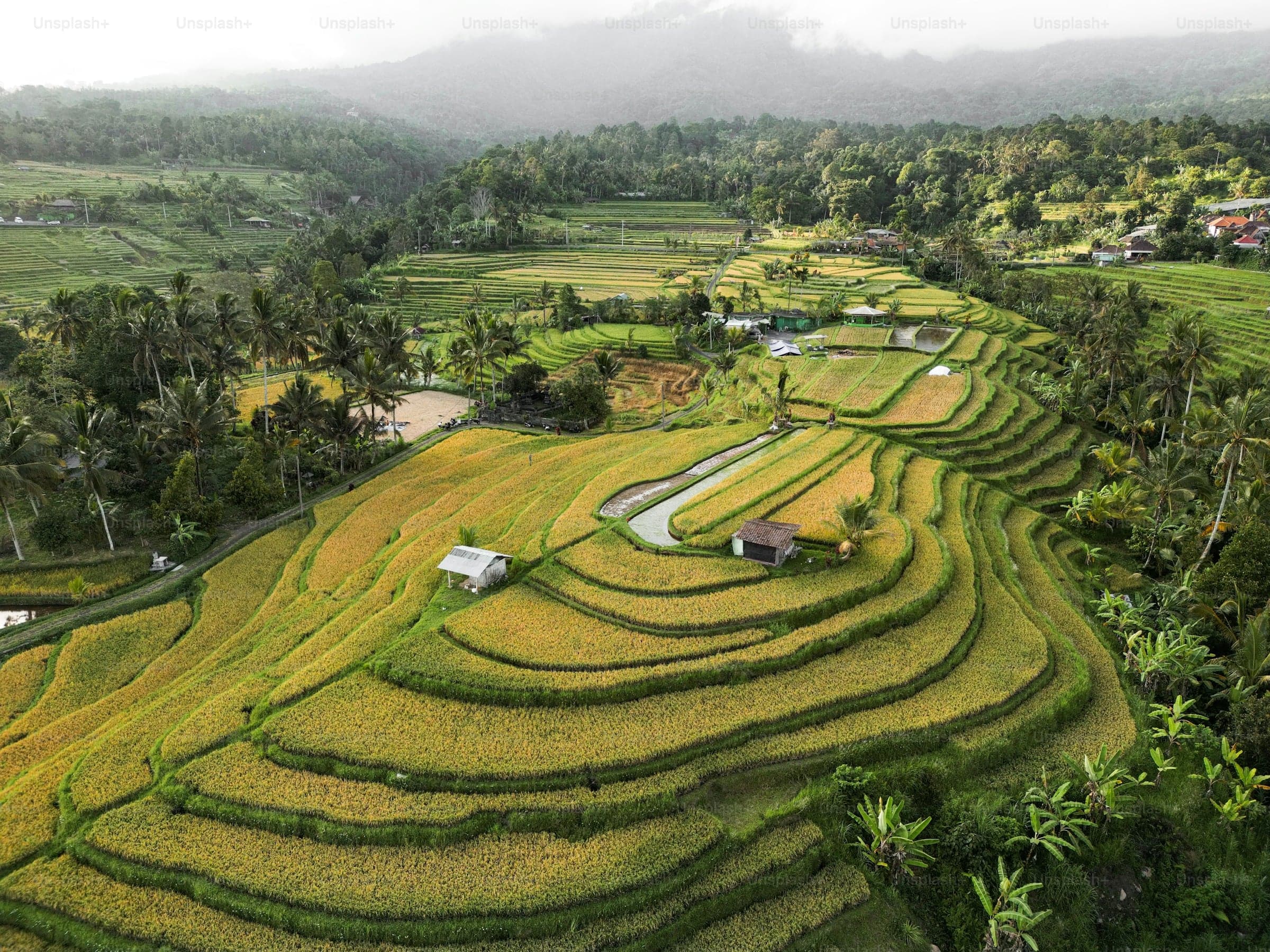 Itinéraire de 3 semaines au Nord du Vietnam