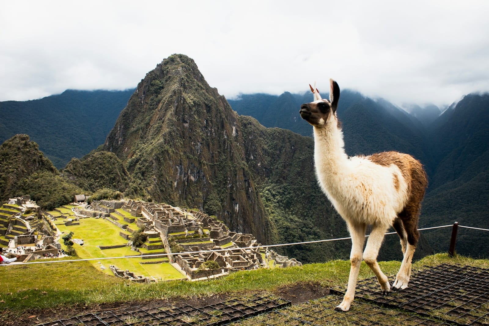 Itinéraire Pérou - 21 jours de Cusco au Machu Picchu