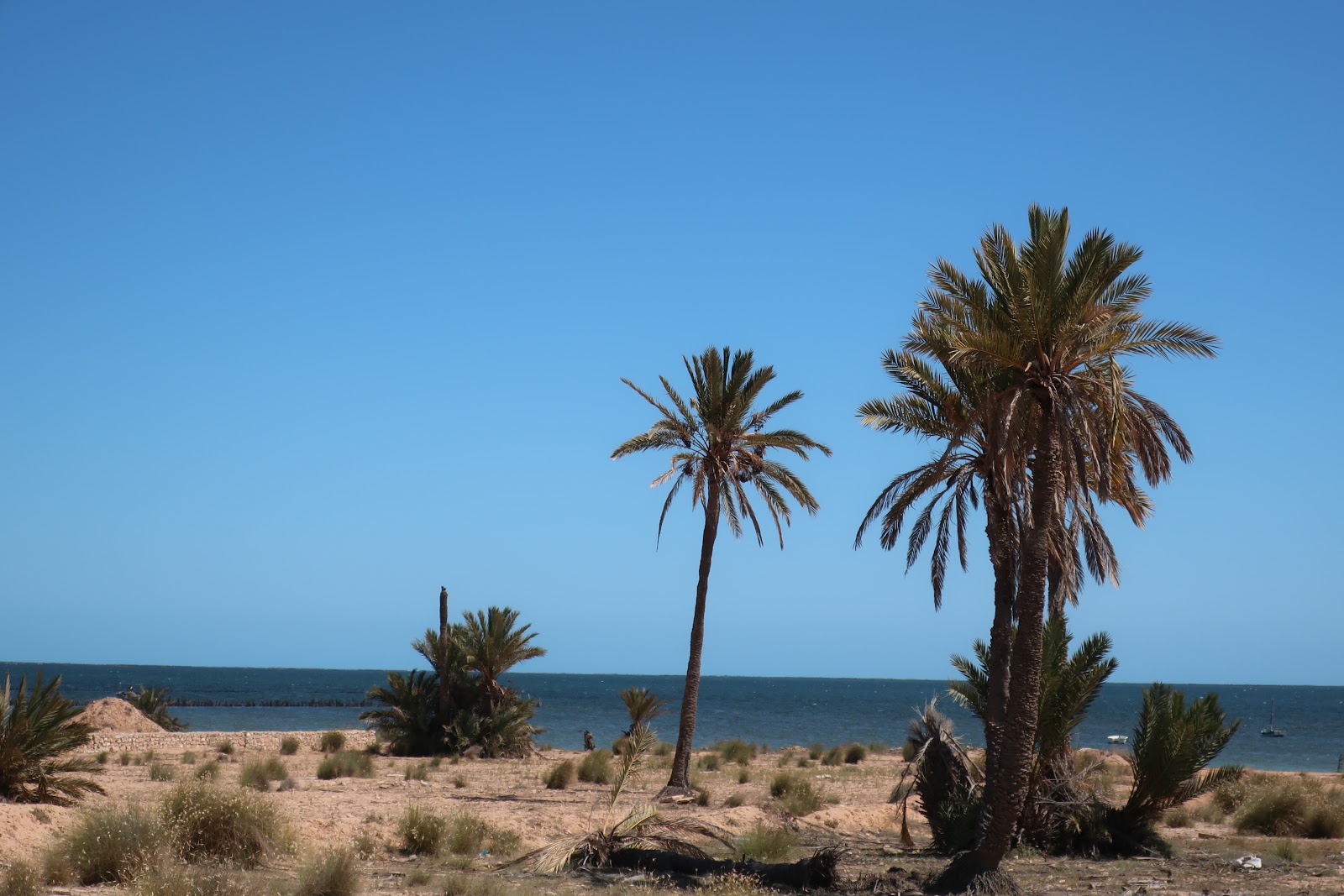 Îles de Kerkennah