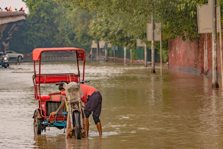New Delhi