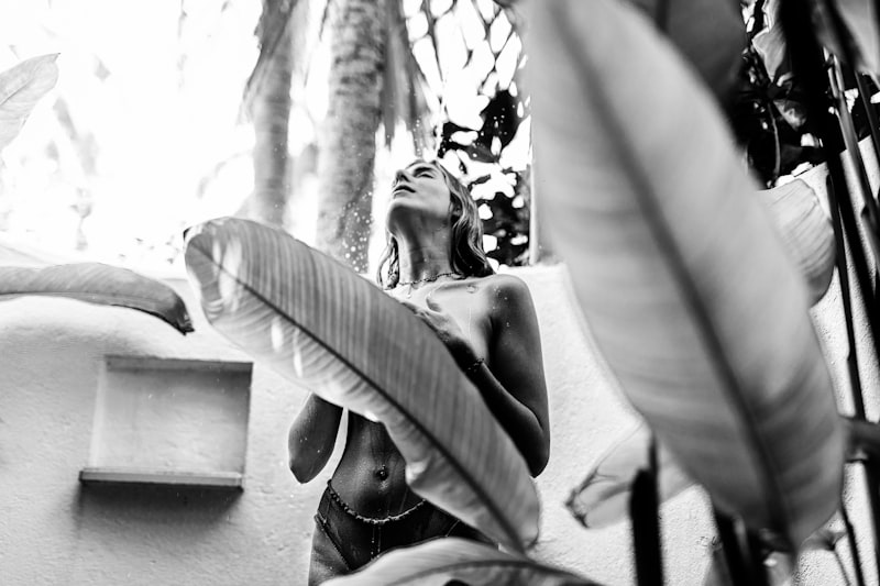 Région du café et vallée de Cocora