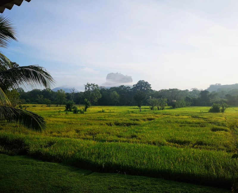 Sigiriya