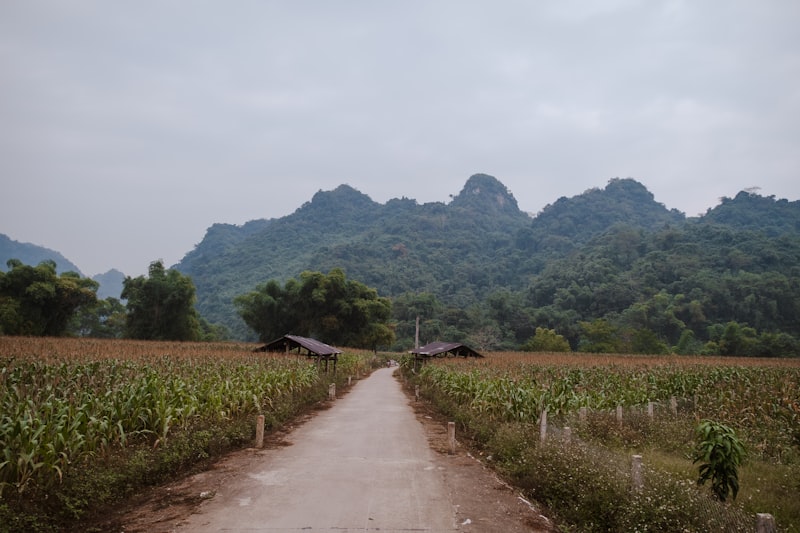 Dien Bien Phu